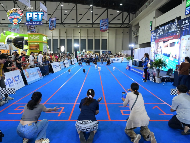 Thailand International Pet Variety Exhibition 2025