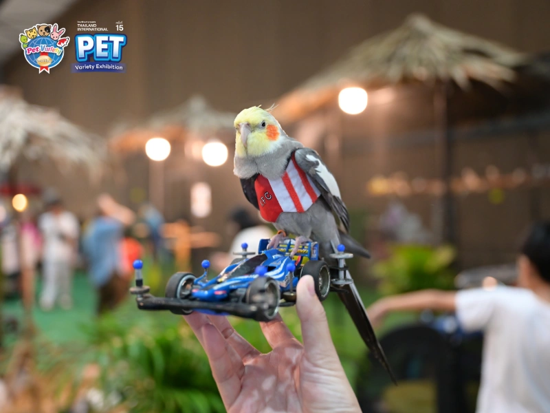 Thailand International Pet Variety Exhibition 2025