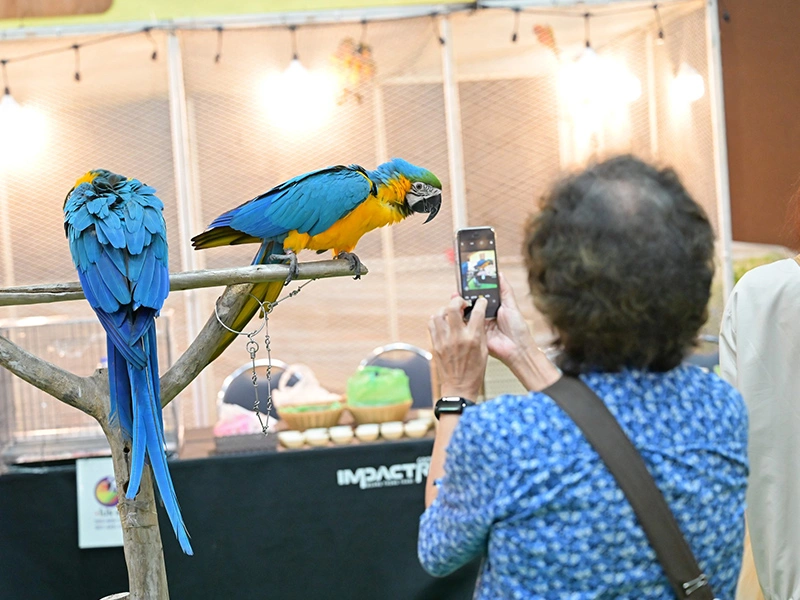 ✨ The event is over, but the joy continues! 💕