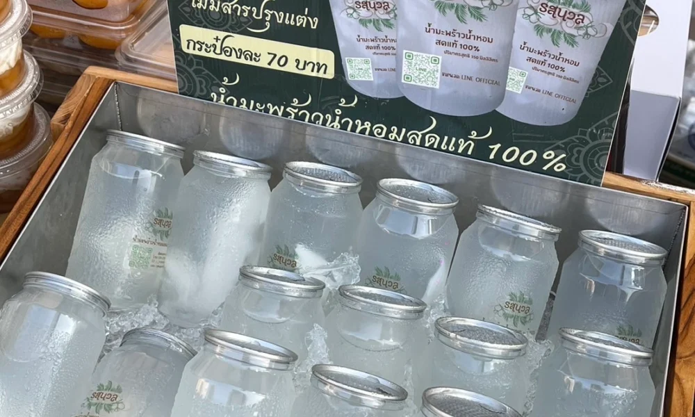 [SKIPPY®] IMPACT x Shell Shuan Shim 5